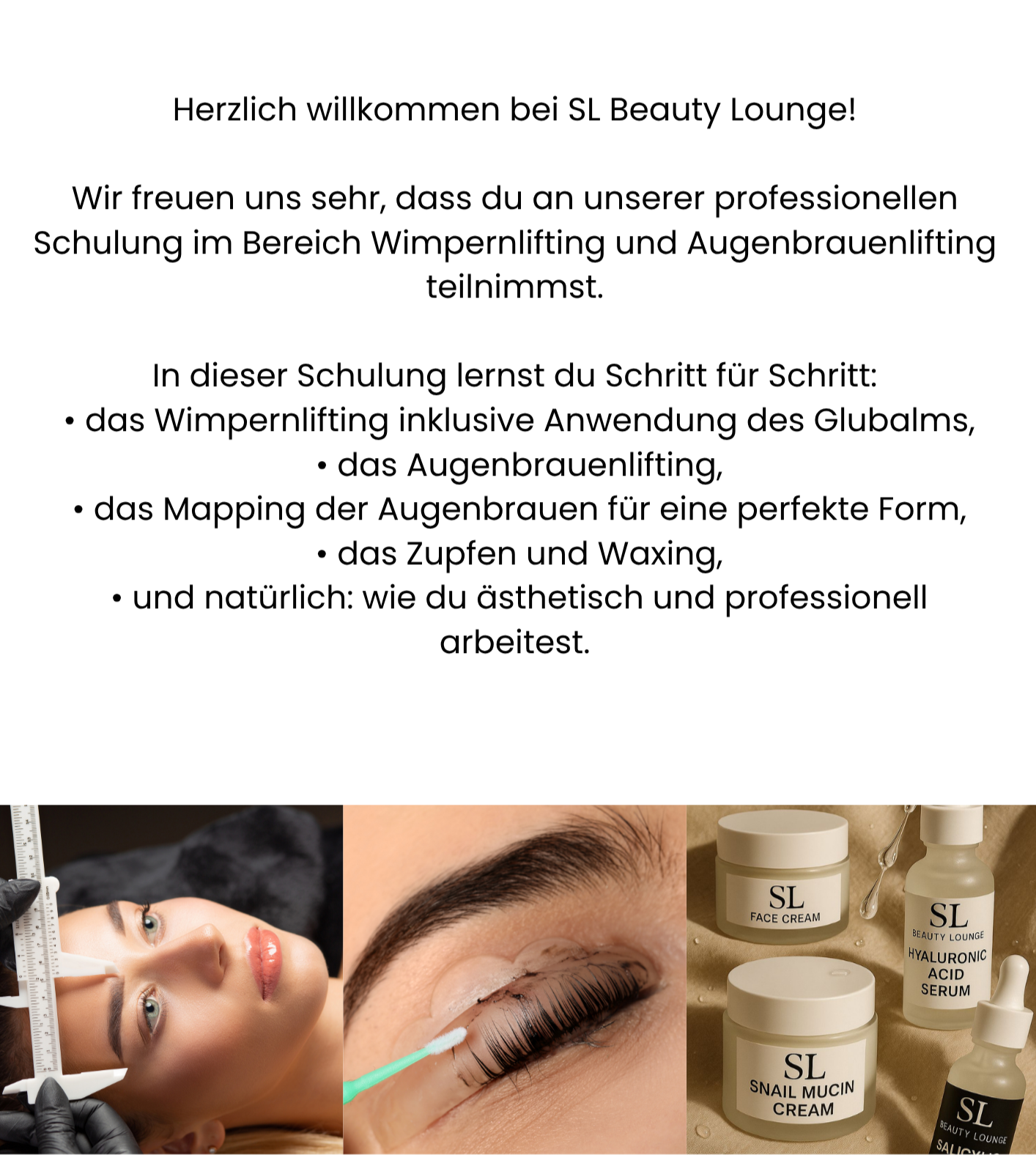 Schulungspaket "Lash & Browlifting"