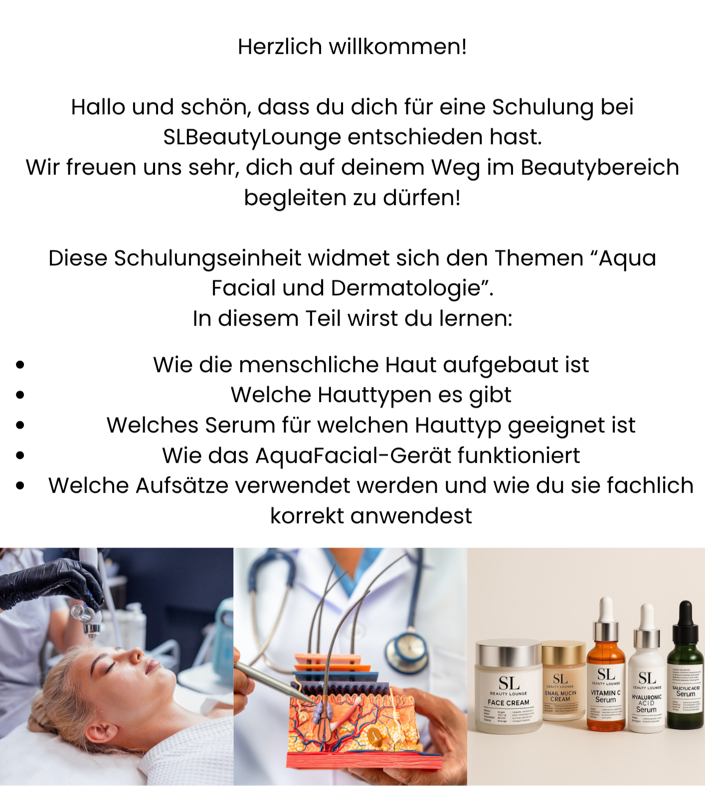 Schulungspaket "Aqua-Facial"