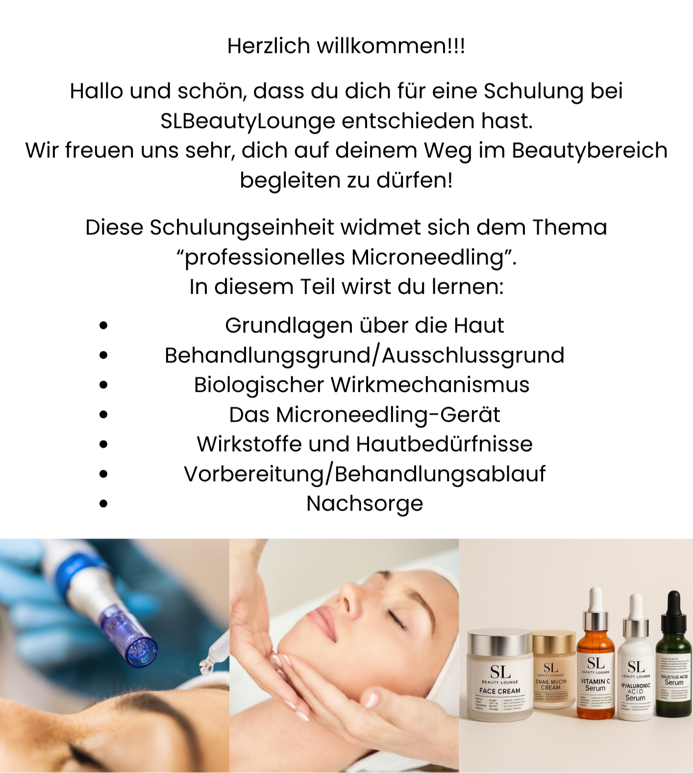 Schulungspaket "Microneedling"